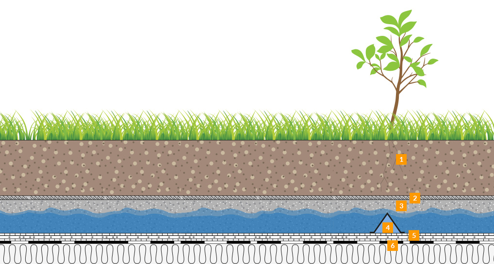 benning_dachbegruenung_intensive_illustration_schmal