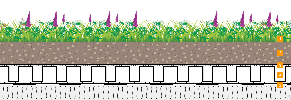 benning_dachbegruenung_naturdach_illustration_schmal