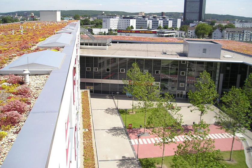 EKZ Düsseldorf Benning Dachbegrünung GmbH Münster NRW