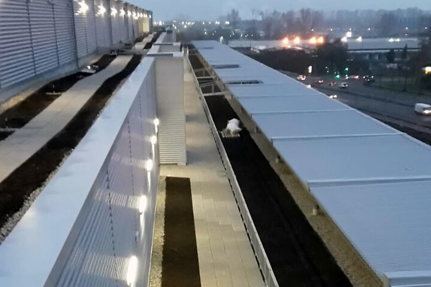 Höffner Möbel Neuss Benning Dachbegrünung GmbH Münster NRW