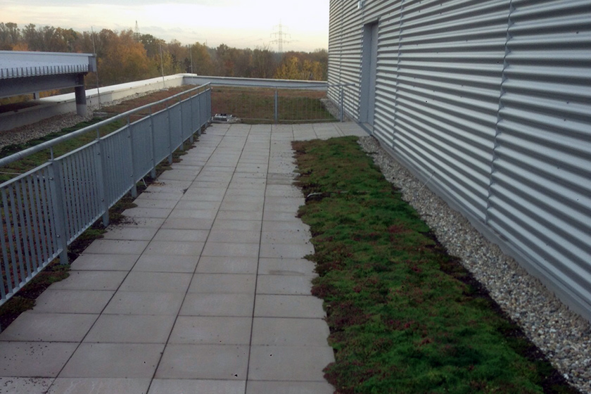 Höffner Möbel Neuss Benning Dachbegrünung GmbH Münster NRW