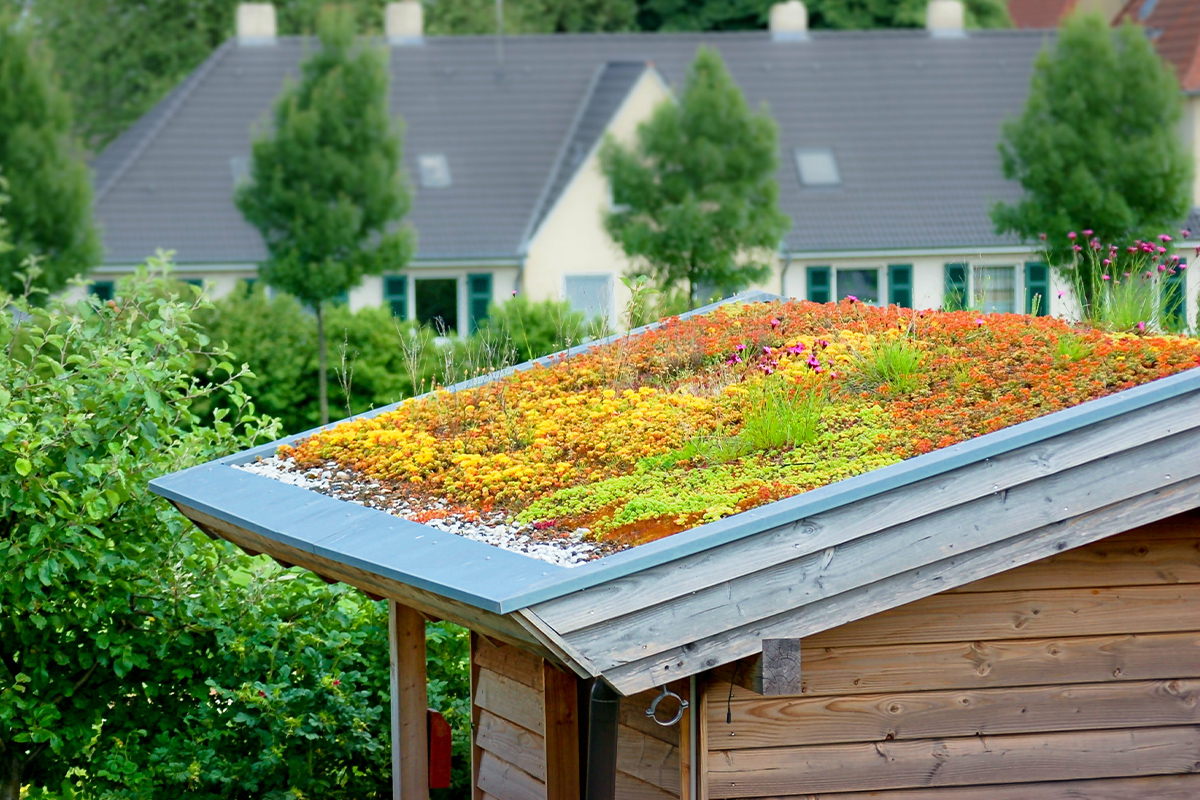 Dachbegrünung auf bestehendem Garagen-Dach -  –  Engagement mit Mehrwert